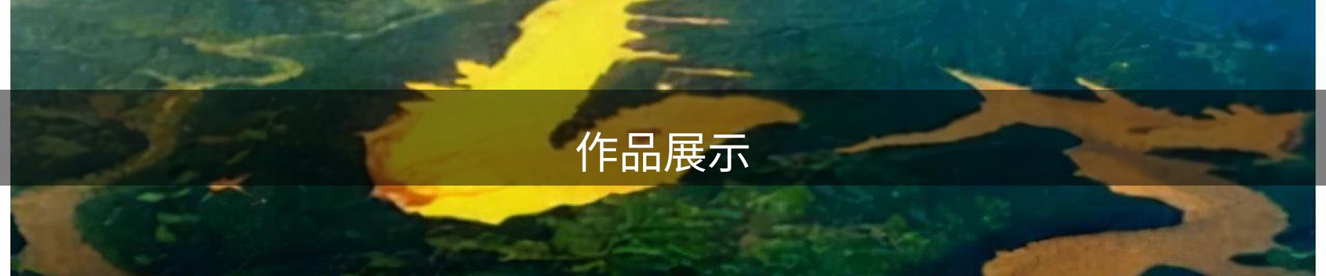 作品展示