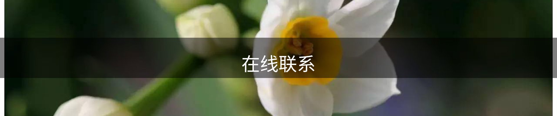 在线联系